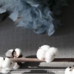 z2072697116238_209948ea9095f051635cd8cbbe0e95e3