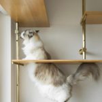 z2072700076069_91269df247ab73825fc91c21ebe102ee