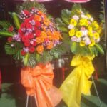 thi-cong-noi-that-nha-thuoc- (2)