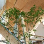 thiet-ke-thi-cong-homestay-dat-lat-chi-suong