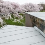 z4276943208229_741e2020070e8cd391e5520331f93655