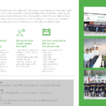 HSNL-ASAHOME-2023_compressed_Page_13