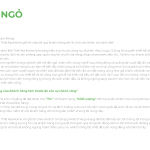 HSNL-ASAHOME-2023_compressed_Page_04