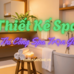 thiet-ke-spa-asa